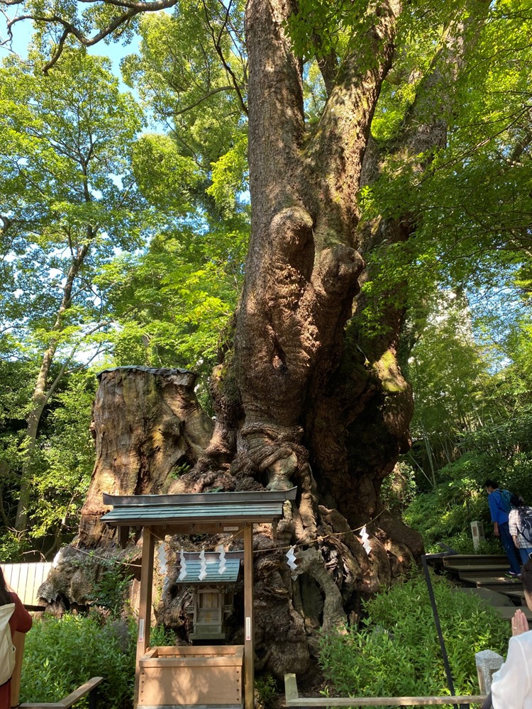 コロナ後初めて旅行に行ってきました♪